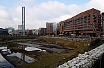 DSC_4339.jpg
