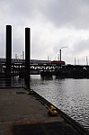 DSC_4398.jpg