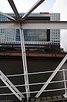 DSC_4421.jpg