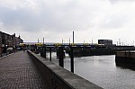 DSC_4428.jpg