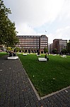 DSC_4469.jpg
