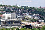 DSC_0009.jpg