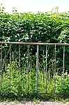 DSC_0010.jpg