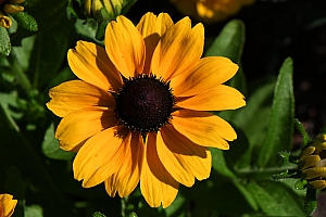 DSC_0864-web.jpg