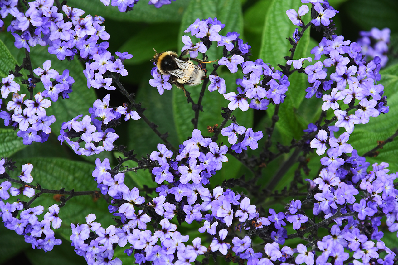 DSC_0254.jpg