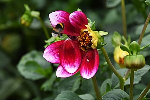 DSC_0276.jpg