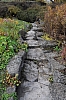 DSC_7663.JPG