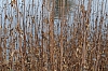 DSC_7668.JPG