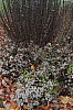 DSC_7669.JPG