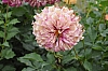 DSC_7674.JPG
