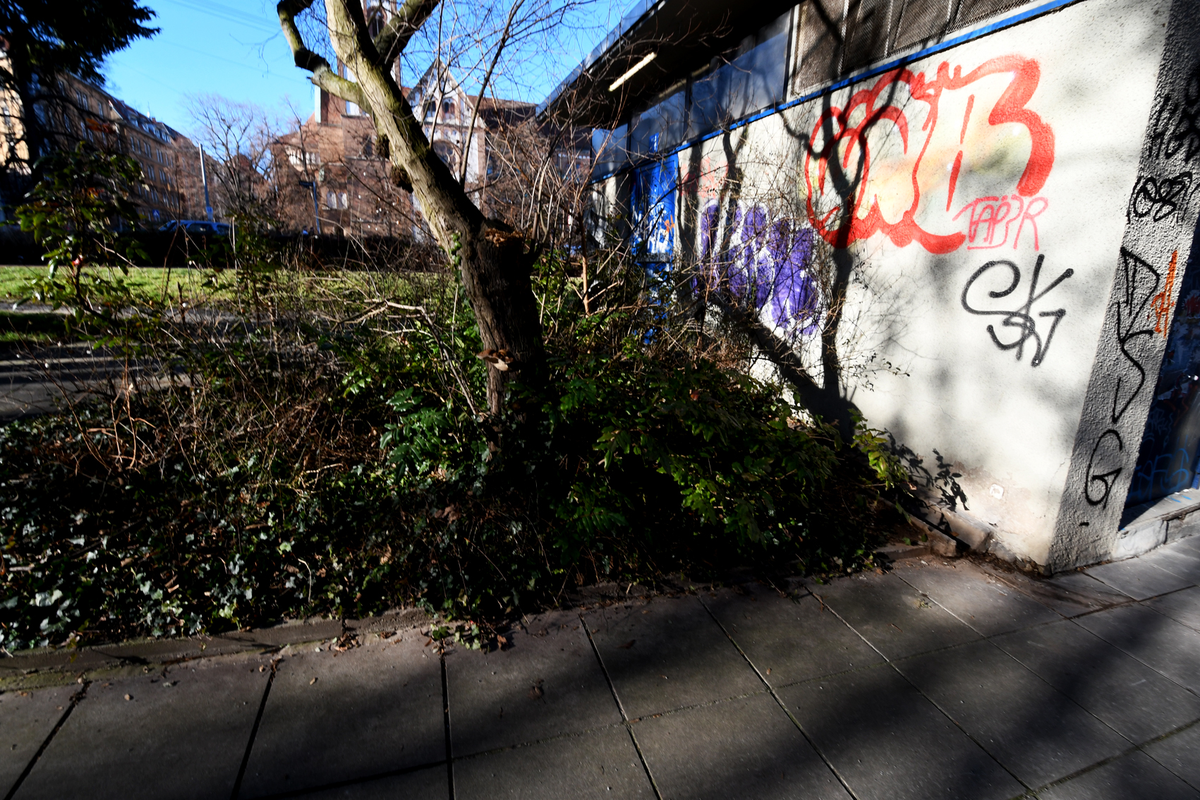 DSC_1208-web.jpg