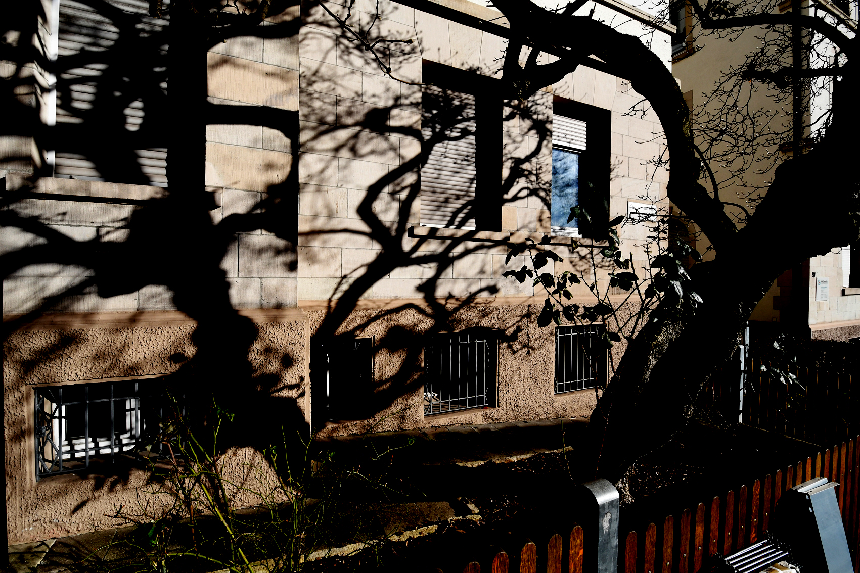 DSC_1225-web.jpg