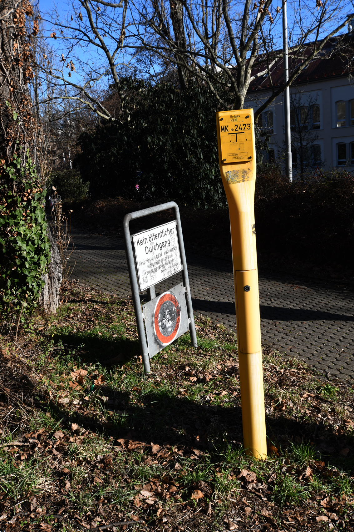 DSC_1261-web.jpg