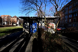 DSC_1207-web.jpg