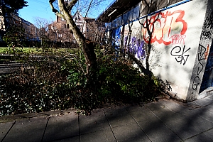 DSC_1208-web.jpg