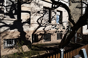 DSC_1225-web.jpg