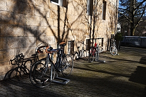 DSC_1254-web.jpg