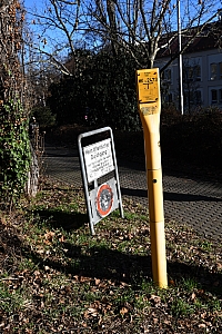 DSC_1261-web.jpg