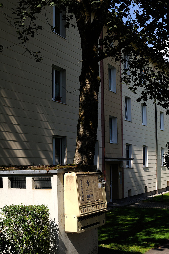 DSC_2993.jpg