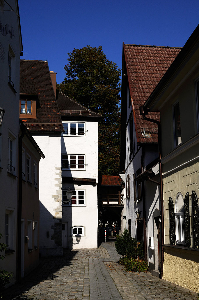 DSC_3175.jpg