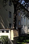DSC_2993.jpg