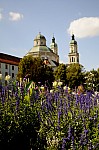 DSC_2996.jpg