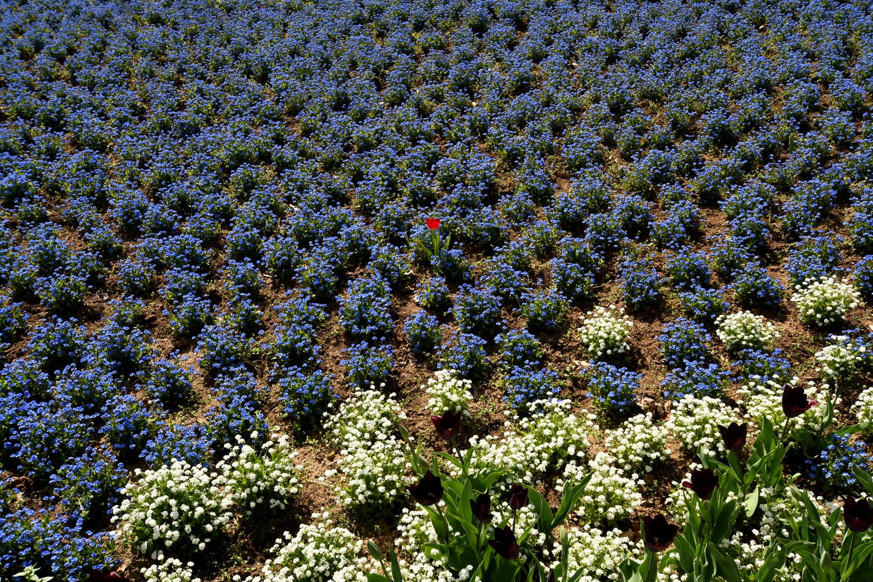 DSC_1308--web.jpg