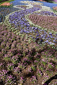 DSC_1281-web.jpg