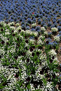 DSC_1310-web.jpg