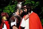 DSC_6682.jpg