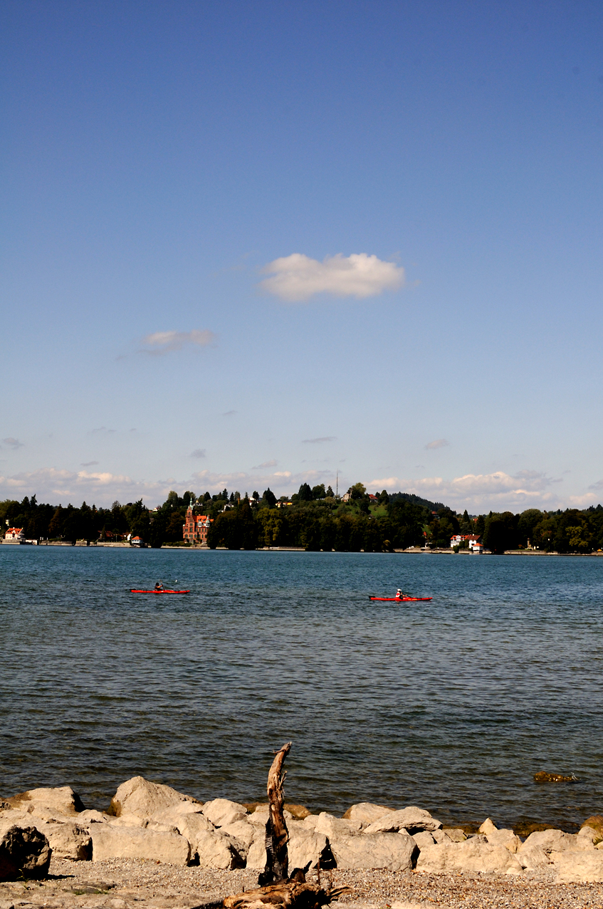 DSC_2859.JPG