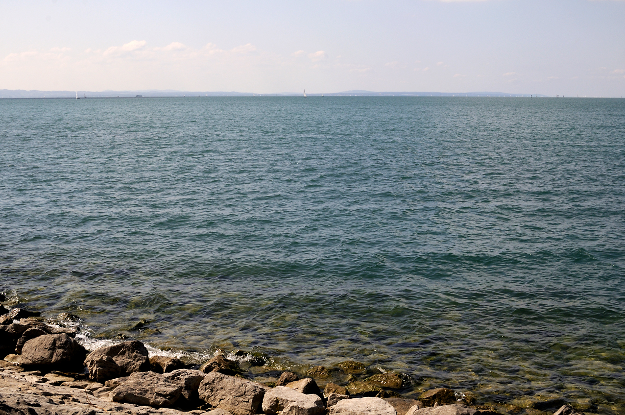 DSC_2869.JPG