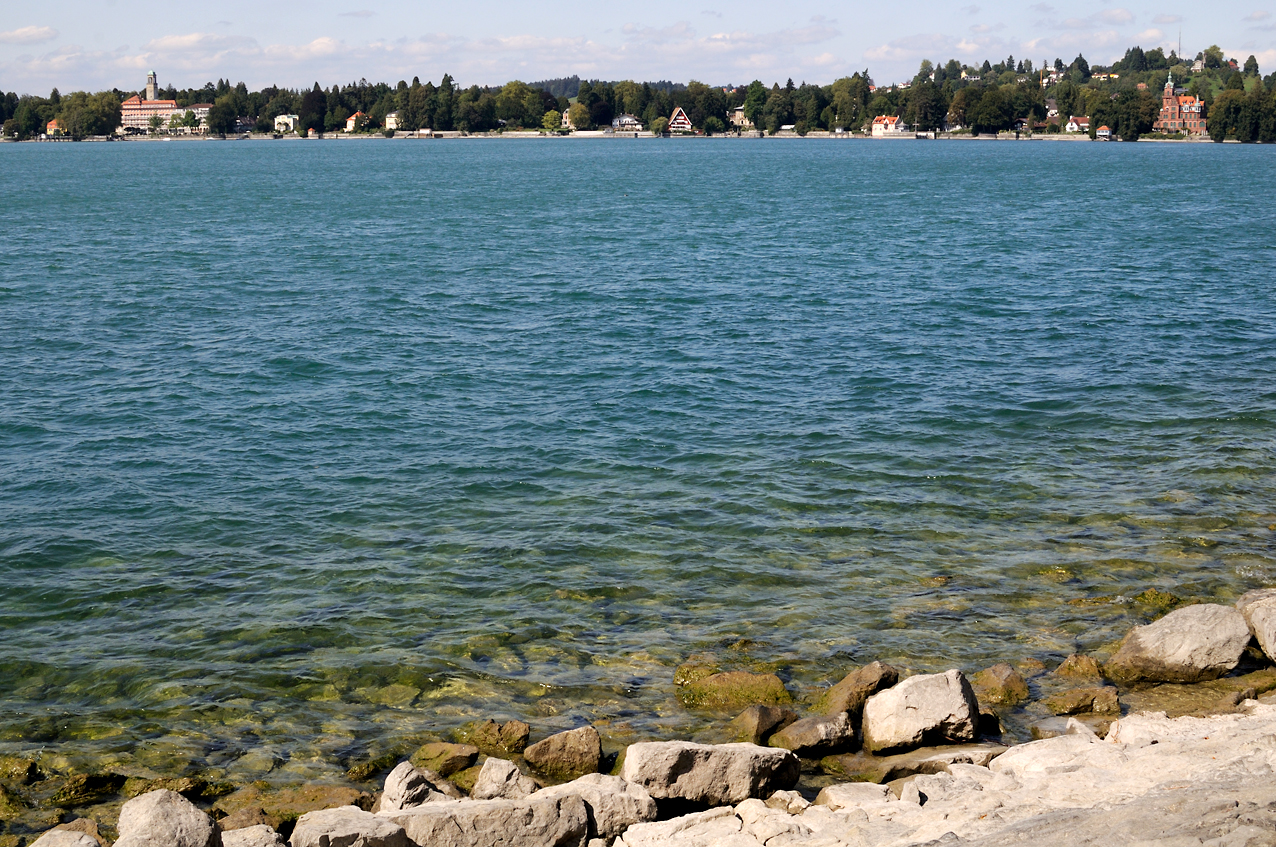DSC_2871.JPG