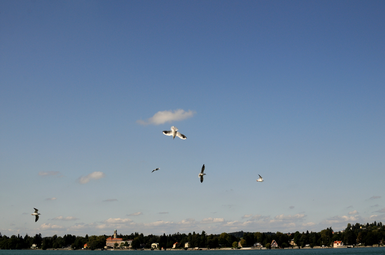 DSC_2904.JPG