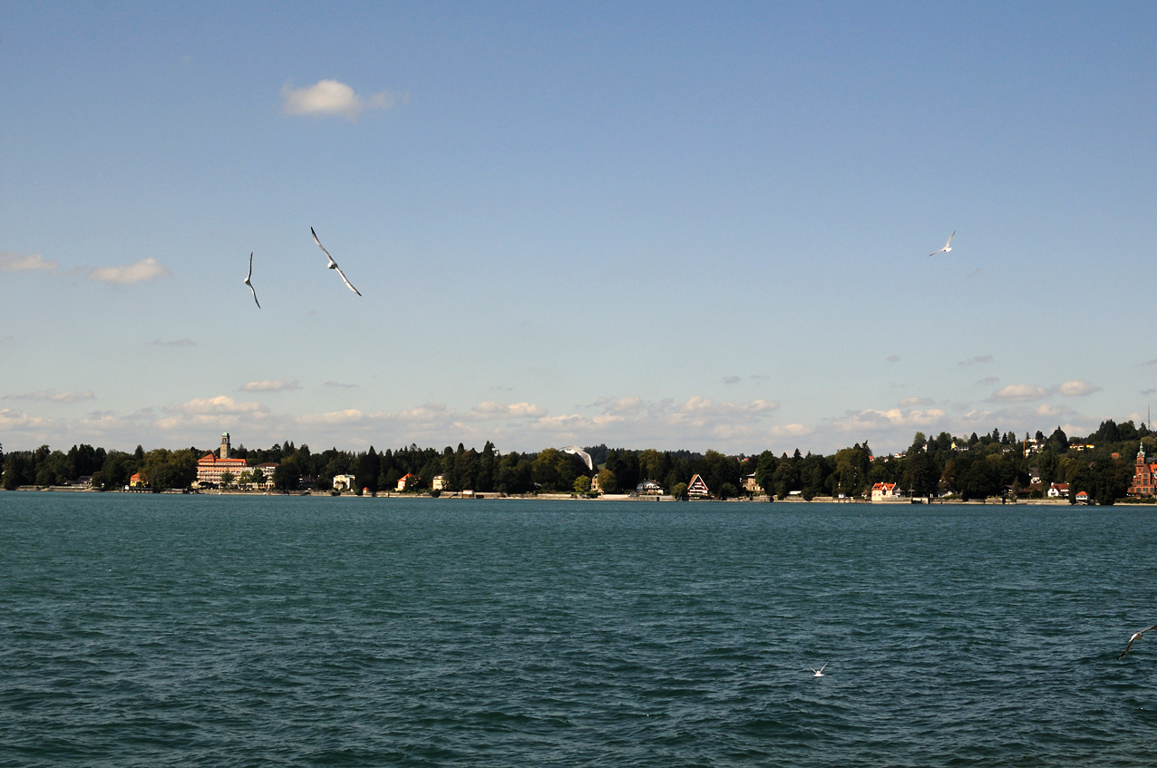 DSC_2913.JPG