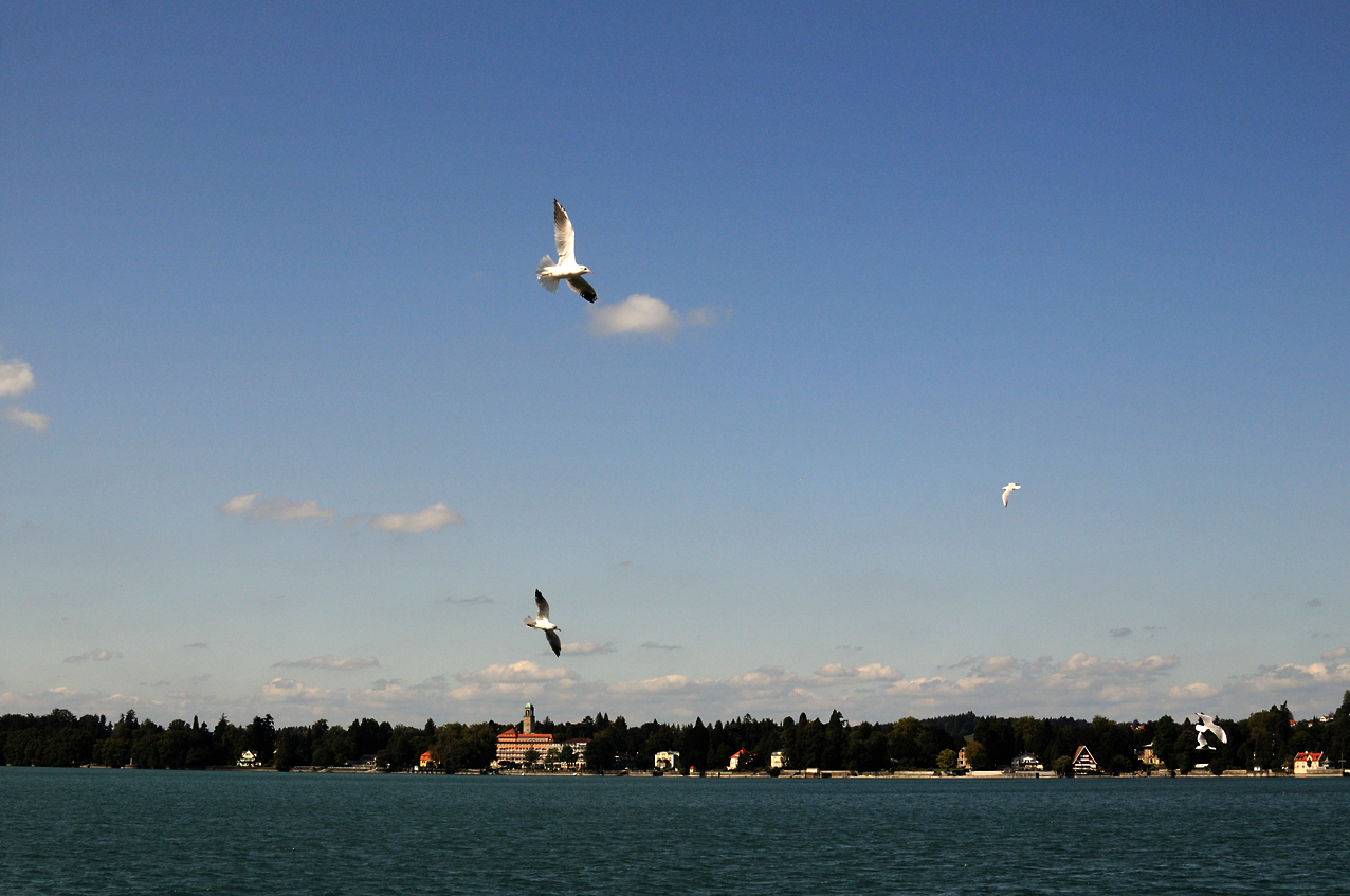 DSC_2914.JPG