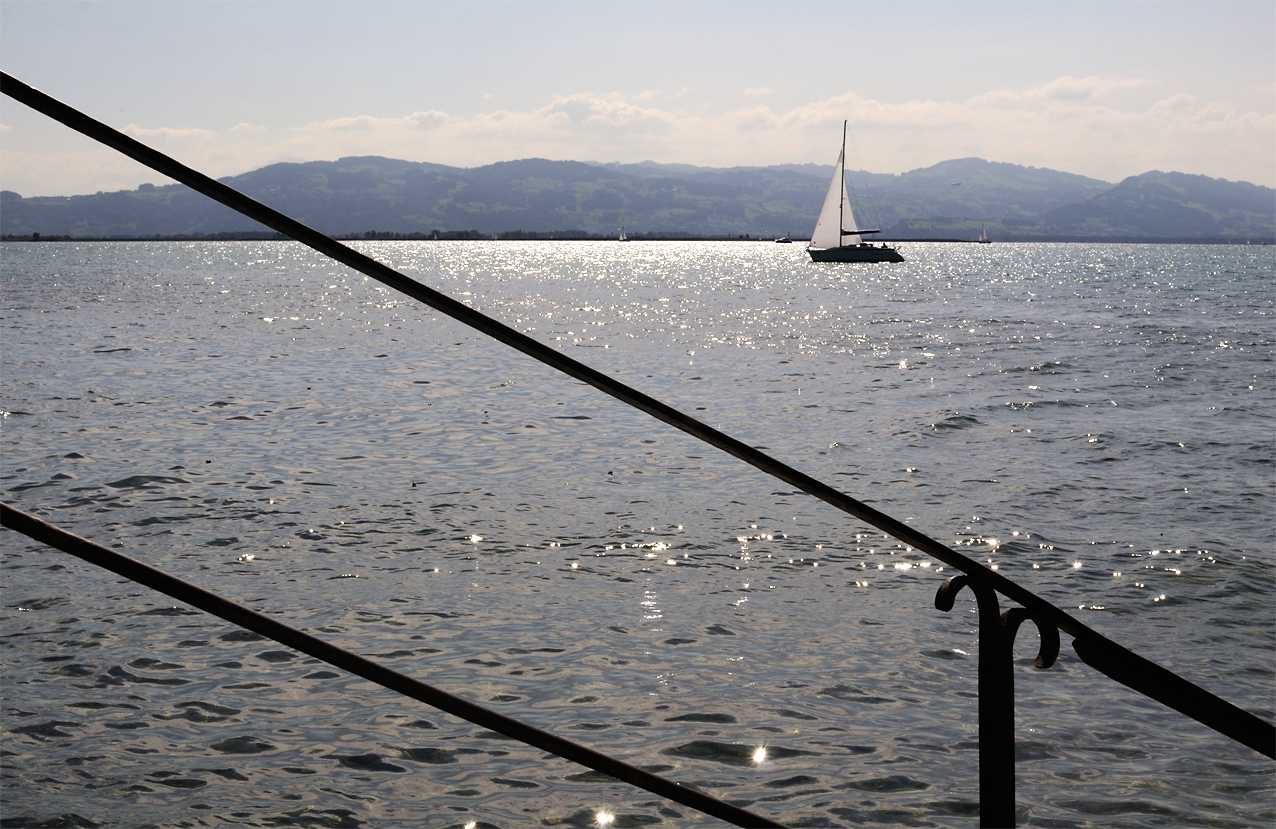 DSC_2932.JPG