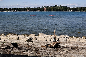 DSC_2856.JPG
