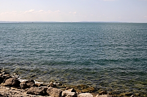 DSC_2869.JPG