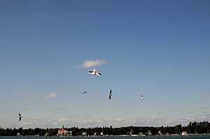 DSC_2904.JPG