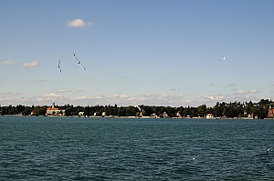 DSC_2913.JPG