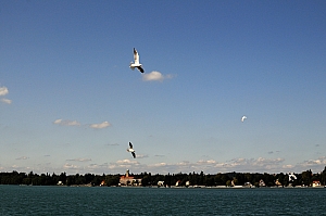 DSC_2914.JPG