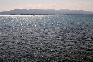 DSC_2920.JPG