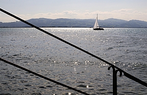 DSC_2932.JPG