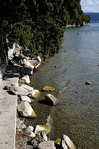 DSC_2943.JPG