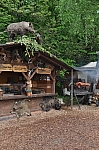 DSC_0690.jpg