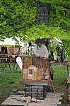 DSC_0818.jpg