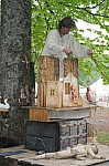DSC_0820.jpg