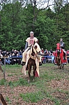 DSC_0822.jpg