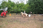 DSC_0831.jpg